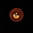 Dubula
