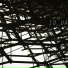 ID UA