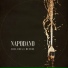 Napodano - Il Ratto