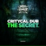 Critycal Dub