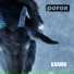 POROX