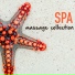 Meditative Music Guru