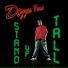 Dizzee Rascal