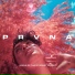 PRVNA