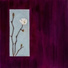 Hwansu Kang