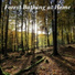 Nature Sounds Vidobia