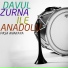 Paşa Anakaya