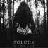 Toluca