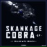 Skankage, Erratik