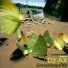 mix