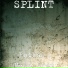 SPLINT