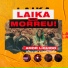 Laika Não Morreu, Analaga