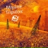 Trip-Hop.net
