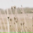 Deep Sleep, Relaxing Music Therapy, Spa