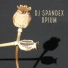 DJ Spandex