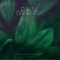 Youtube Design