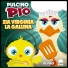 Pulcino Pio