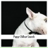 Relaxing Dog Music