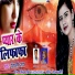 Ripali Raj
