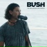 Bush