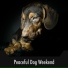 Calming Dog Relaxation