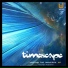 Timescape