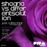 Shaaria & Different Solution
