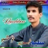 Saleem Shahzad