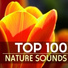 Nature Sounds Spa Therapy