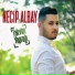 Necip Albay