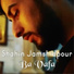 Shahin Jamshidpour