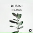 Kusini