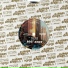 Nautilus feat. Fleur Earth