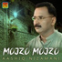 Aashiq Nizamani