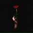 Blanke feat. Nevve [drivemusic.me]