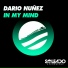 Dario Nunez