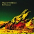 Wall Of Voodoo (1981 - Dark Continent)