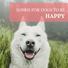 Music for Dogs Collective