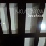 Pasquale Cardona