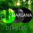 DJ Meleg