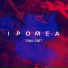 IPOMEA