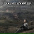 Slears