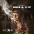 LP Marcy feat. Cannon NBS