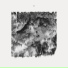 JMSN