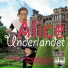 Big Wind, Aliceorkestern