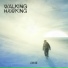 Walking Hawking