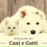 Cani & Gatti