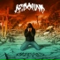 Redound