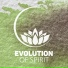 Deep Meditation Music System