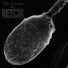 RETOX